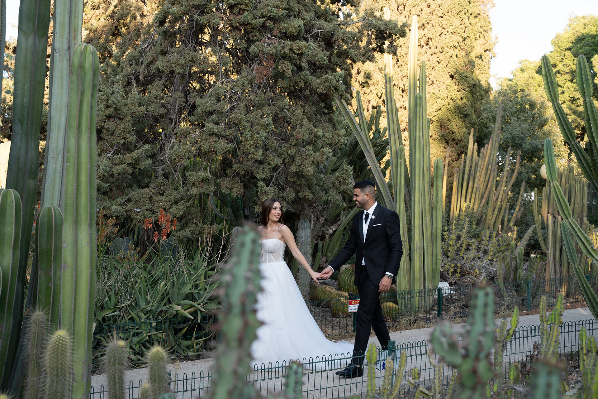 Guy & Sapir